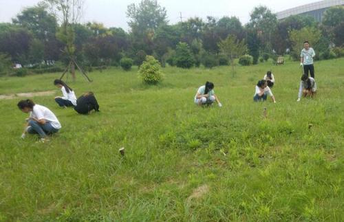 梦见上天拔草 梦见上天拔草