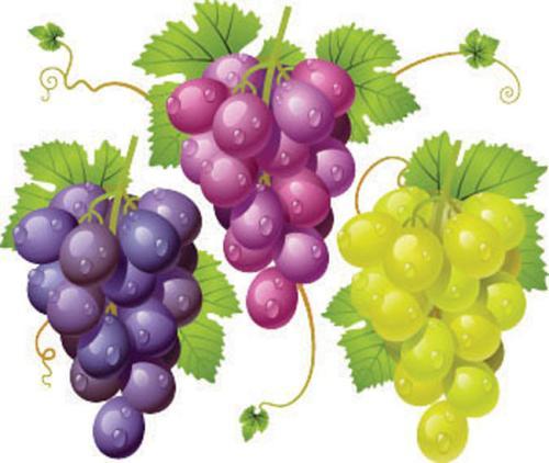 梦见烂葡萄 梦见烂葡萄