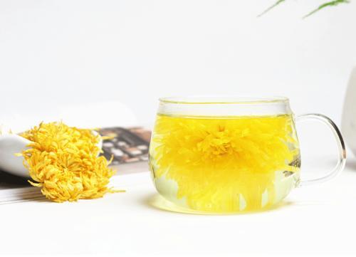 梦见泡菊花茶 梦见泡菊花茶