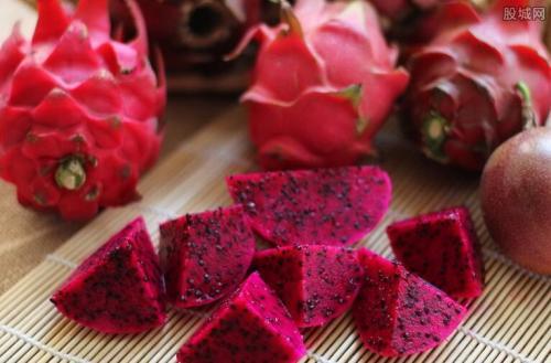 梦见别人买火龙果来看我 梦见别人买火龙果来看我