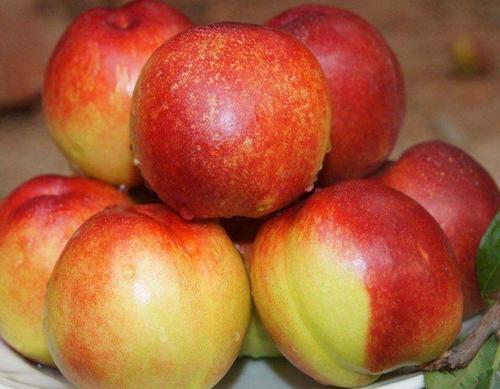 梦见吃油桃 梦见吃油桃