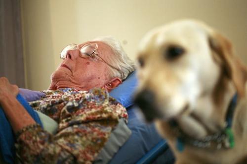 梦见逝去的人 梦见逝去的人