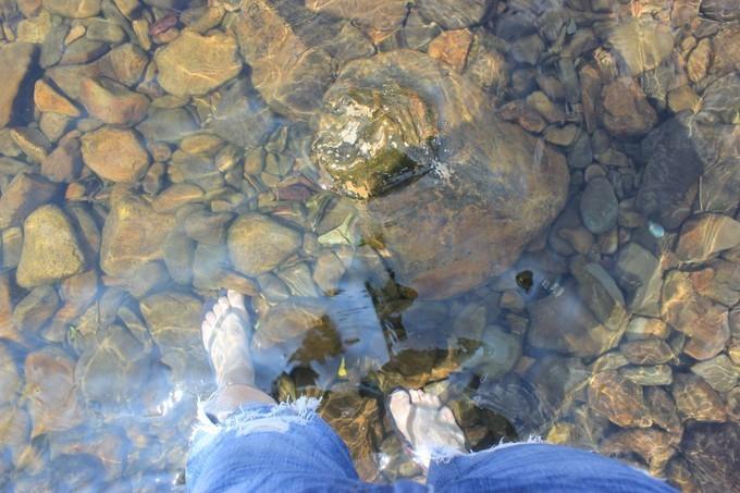 梦见水很清