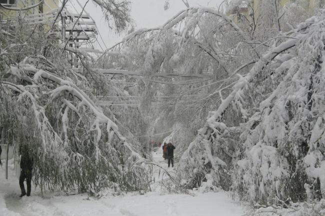 梦见暴雪
