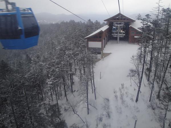 梦见到处都是雪