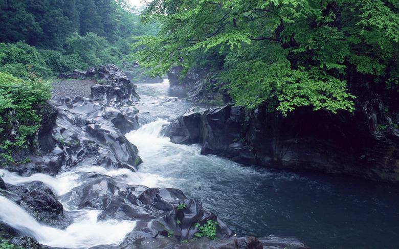 梦见溪流
