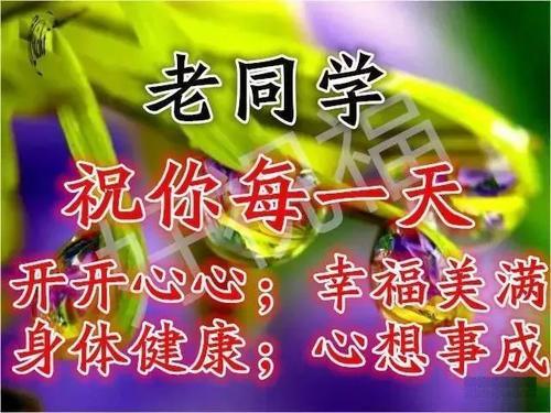 梦见多年不见的老同学