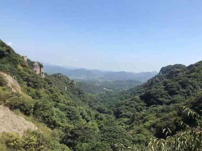 梦见从山上滑下来