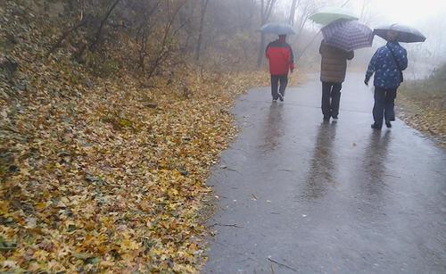 梦见雨中行走