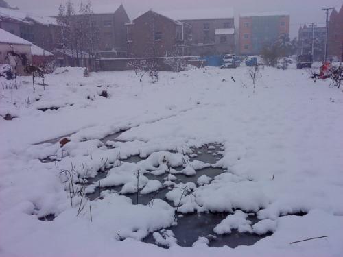 梦见地上都是雪