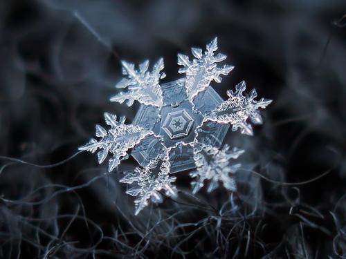 梦见满地的雪