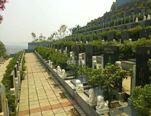 梦见公墓