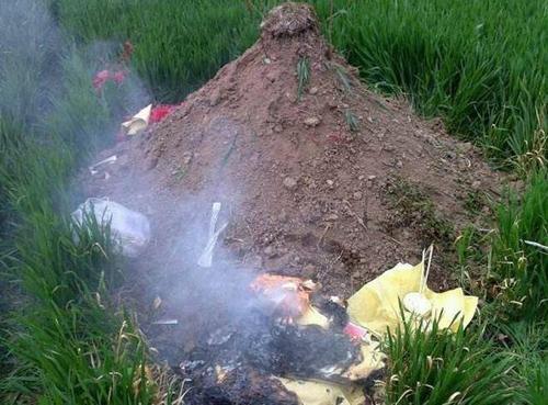 梦见坟