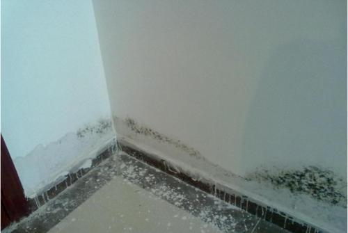 梦见房屋漏雨