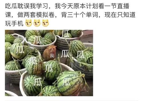 梦见自己吃瓜