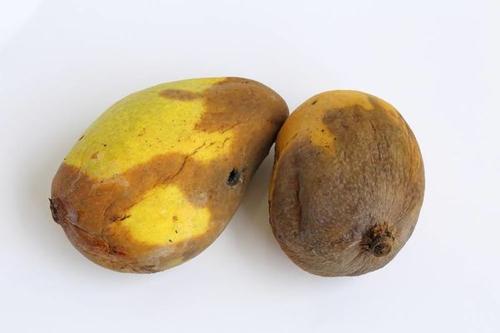 梦见烂水果