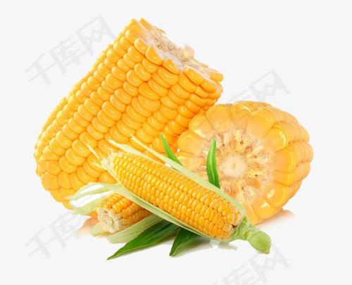 梦见一堆玉米