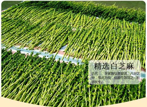 梦见芝麻杆