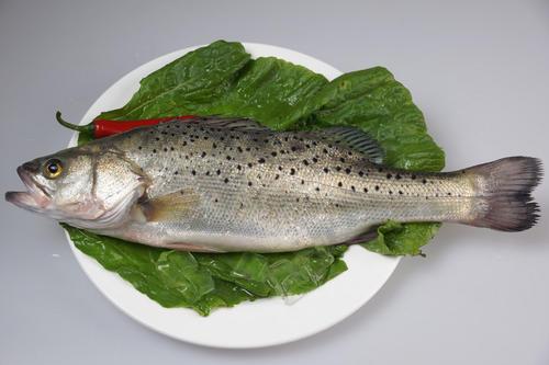 梦见鲈鱼