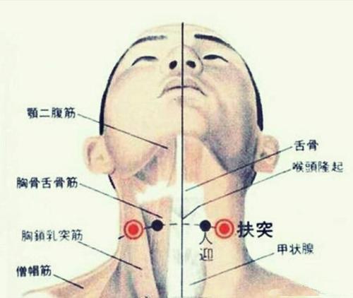 梦见颈部