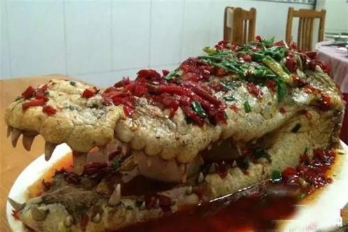 梦见吃龙