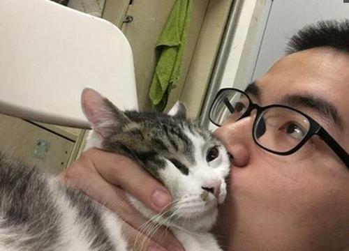 梦见猫挠