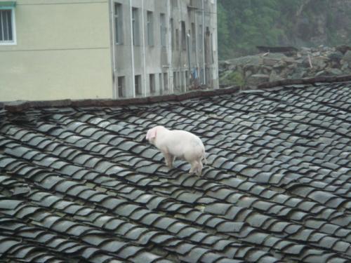 梦见上房