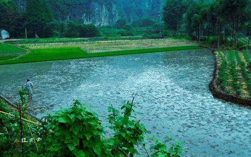 梦见梅雨绵绵