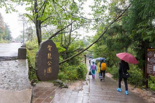 梦见雨中登山