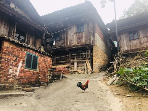 梦见牲畜圈