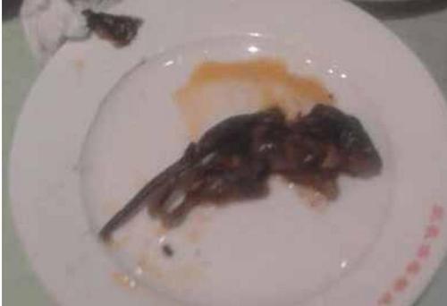 梦见打死老鼠见血