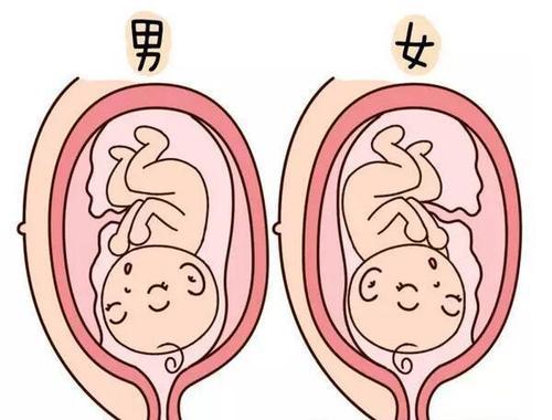 梦见生了男孩