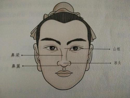 梦见鼻梁