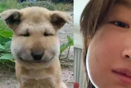 梦见自己脸特别白