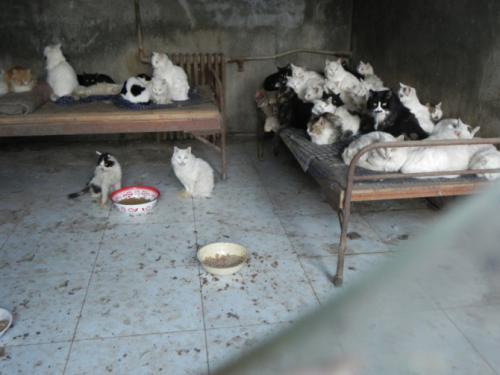 梦见住在破房子里