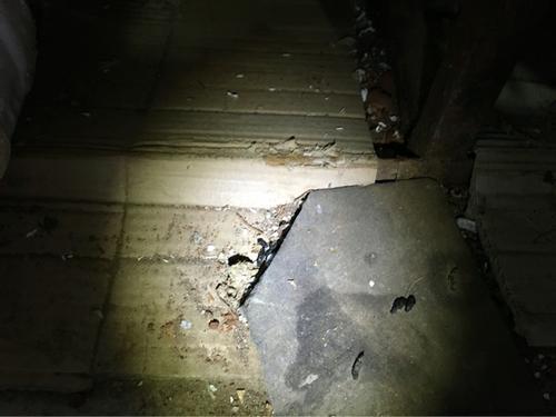 梦见清理老鼠屎