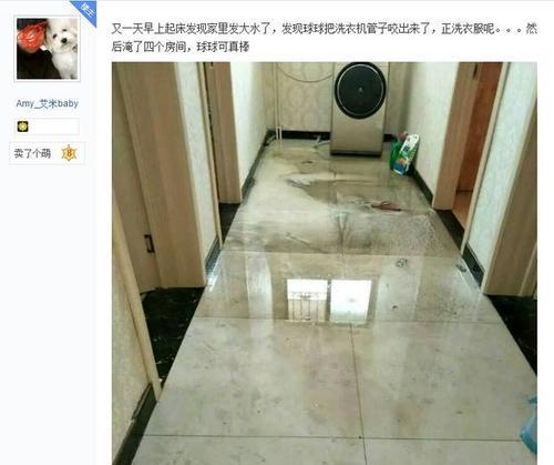 梦见家里进水了