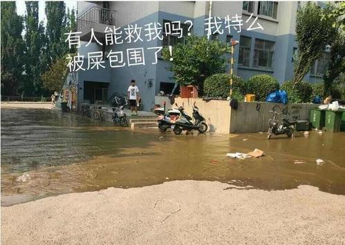梦见掉进粪坑身上有屎