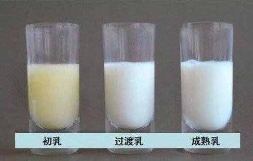 梦见自己挤出白色乳汁