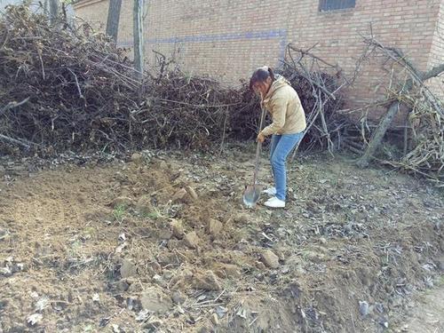 梦见在地里干活