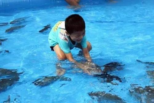 梦见在水里捞鱼