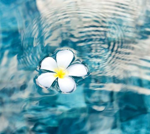 梦见漂浮