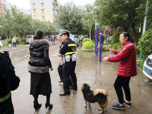梦见找不到回家路