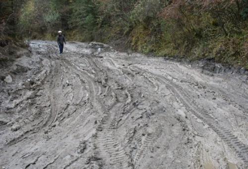 梦见走出稀泥路