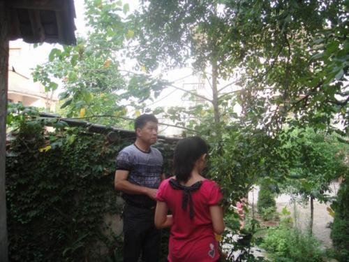 梦见摘枣吃