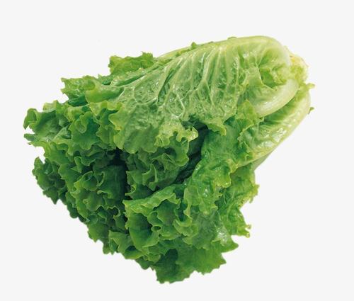 梦见很多绿色蔬菜