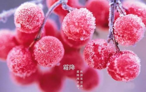 梦见霜降