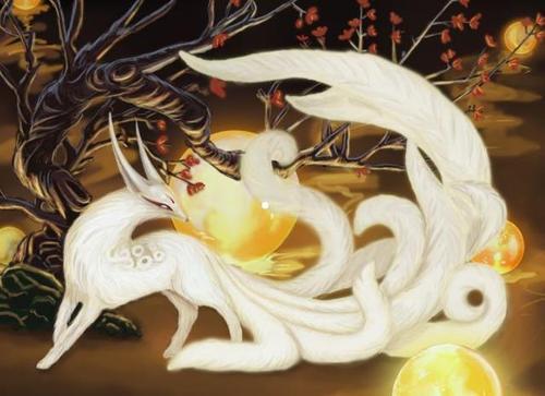 梦见九尾天狐