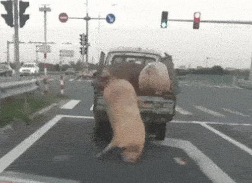 梦见自己从车上掉下来