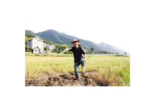 梦见自己下田